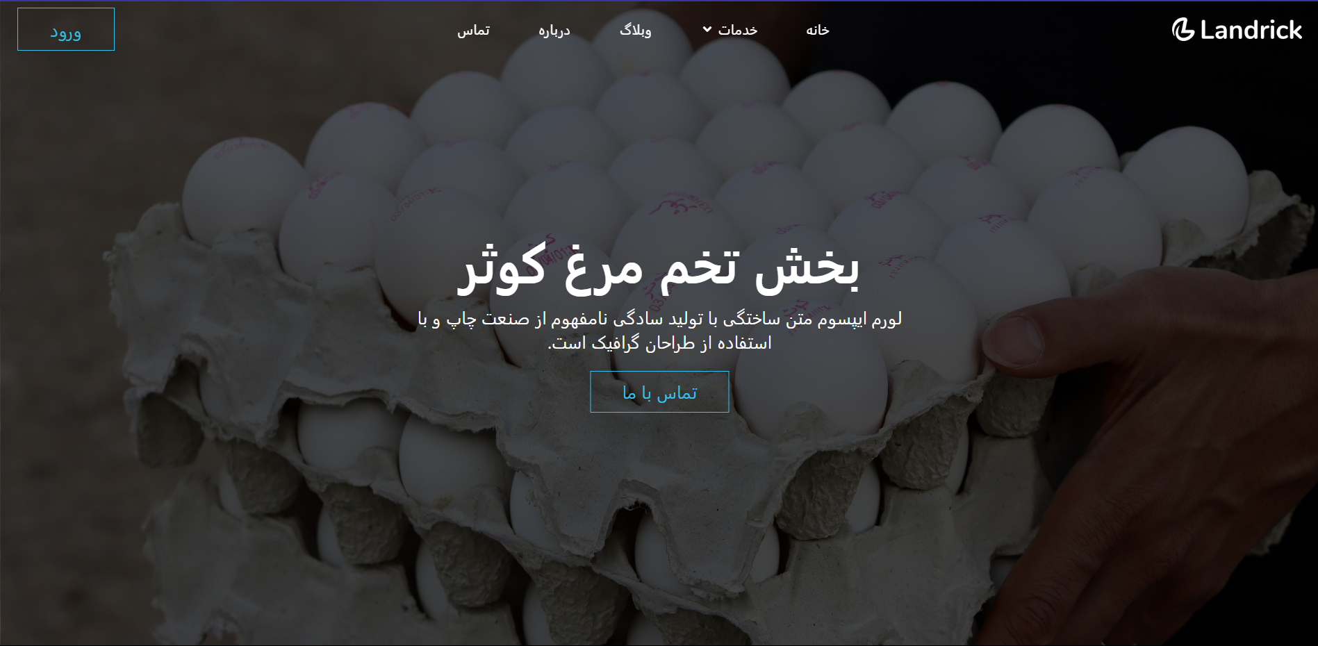 Egg Store Landing Page